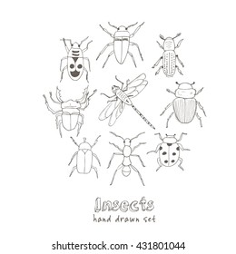 Set of doodle sketch Bugs and beetles. Insects collection kit. Isolated vector illustration