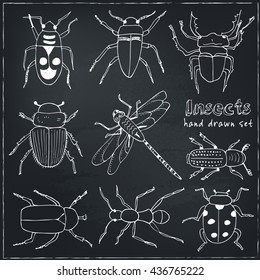 Set of doodle sketch Bugs and beetles. Insects collection kit. Isolated vector illustration