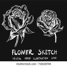 Set of Doodle sketch flower Hand drawn Sketch line vector illustration