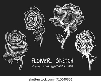 Set of Doodle sketch flower Hand drawn Sketch line vector illustration