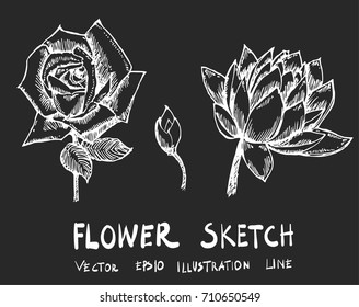 Set of Doodle sketch flower Hand drawn Sketch line vector illustration