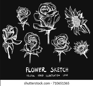 Set of Doodle sketch flower Hand drawn Sketch line vector illustration