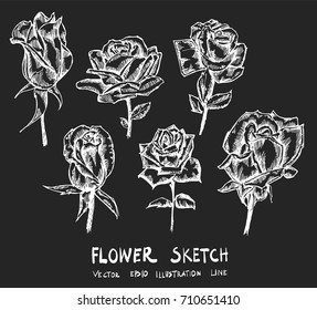 Set of Doodle sketch flower Hand drawn Sketch line vector illustration