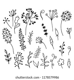 Set of doodle sketch flowers on white background. Vector illustration.