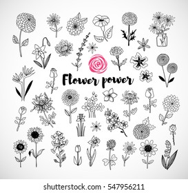 Set of doodle sketch flowers on white background. Vector illustration.