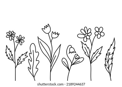 Set of doodle sketch hand draw poppy and fantasy flowers vector