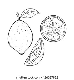 Set of Doodle or Sketchy Lemon With Lemon Slice on White Background