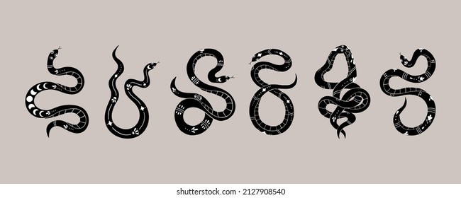 Set von doodle Schlangen Silhouette. Vektorgrafik für Branding, Logo, Druck, Tattoo. 