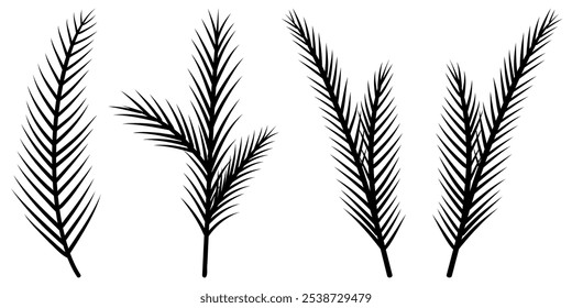 Conjunto de ramitas de abeto doodle, ramas de pinos blancos y negros Ilustración vectorial, follaje, abeto