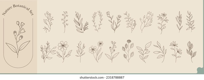 Set of Doodle Style Floral And Leaves On Pastel Orange Background.
