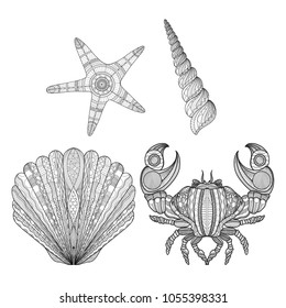 Set of doodle style illustrations starfish shells and cancer vector