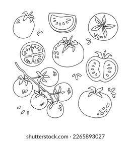 Set of doodle tomatoes. Vector illustration isolated on white background. Coloring for kids.