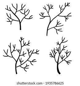 Set of doodle tree branches. Plants isolated on white background. Floral elements collection.