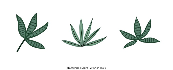 Satz von Doodle tropischen Pflanzen von verschiedenen Formen. Dschungel, Wald, Natur. Handgezeichnete Vektorillustration im flachen Stil.