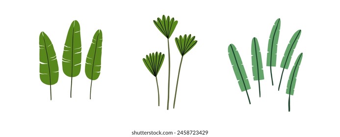 Set of doodle tropical plants of different shapes. Jungle, forest, nature. Hand drawn vector illustration in flat style.