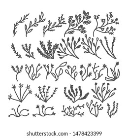 Set of doodle twig. Hand drawn branch icons. Vector collection  illustration.
