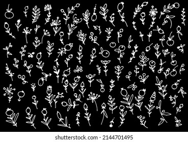 a set of doodle twigs with berries. collection of stylized isolated plant elements hand-drawn in the style of white outline doodle on black for your design template