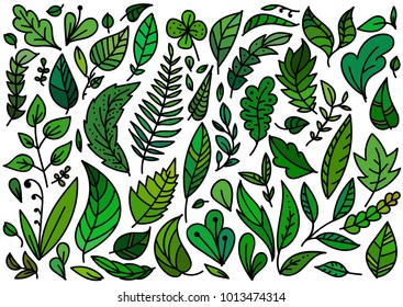 Set of Doodle Vector Leaves and Floral Elements for Stickers, Backgrounds, Patterns on clothes, backpacks and other. Vector Isolated on white.
