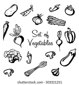 Set of doodle vegetables hand drawn vector isolated