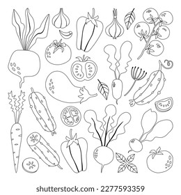 Set of doodle vegetables. Vector illustration isolated on white background. Coloring for children.