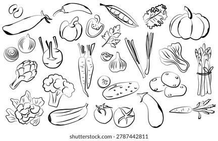 Set of doodle vegetables. Vector illustraton.