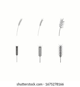Set of doodle wheat, Hand drawn dandelion. Black and White vector illustration. EPS 10.