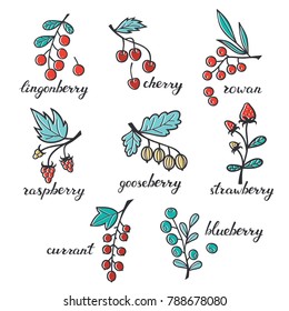 Set of Doodles Berries Isolated on White Background.Berries Collections.