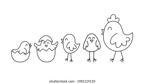 42,683 Chick Drawing Images, Stock Photos & Vectors 