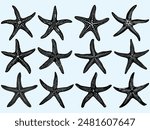 Set of doodles Different types of starfish silhouettes for Summer seafood vector element illustration