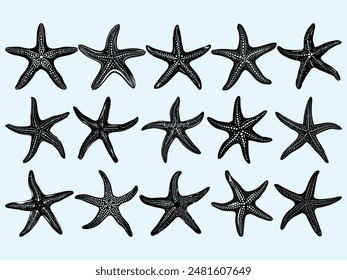 Set of doodles Different types of starfish silhouettes for Summer seafood vector element illustration