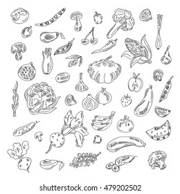 Set doodles elements vegetables and fruits. Vegetarian food