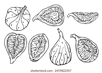 Set of doodles of figs and fruit pieces.Vector graphics.