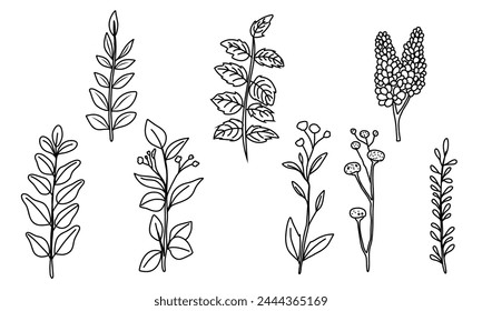 Satz von Kritzeleien von Blumenpflanzen Vorlage