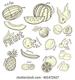 Set of doodles fruits. Outline. 