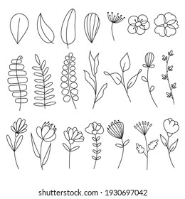 Set of doodles, hand-drawn sketches of different flowers and leaves. Vector handwritten illustration isolated on a white background. 