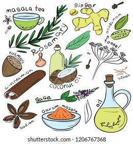 Conjunto de doodles sobre el tema del aceite, las especias y el Ayurveda. Dibujado al estilo de las caricaturas.
