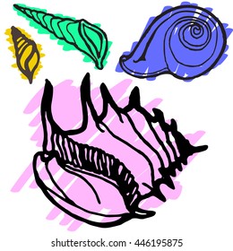 Set of doodles seashells on a white background.