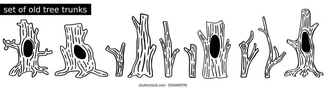 Set of doodles tree trunks. Thick, thin stems. Old forest trees with large hollows for woodland animals. Vector clipart for designs kids illustration, icons. Themes: Halloween, wildlife, national park