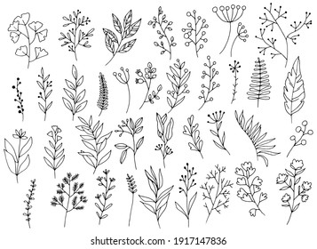 set of doodles twigs, flowers, plants, berries, illustration by hands black and white