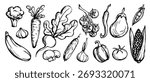 A set of doodles of various vegetables. Vector graphics.