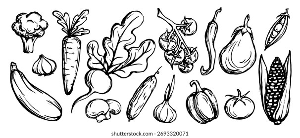 Um conjunto de rabiscos de vários vegetais. Gráficos vetoriais.