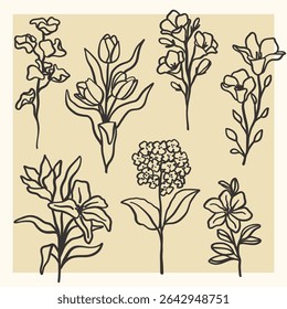 A set of doodle-style flower illustrations. Simple and elegant spring drawings, minimalist style with soft, modern strokes.