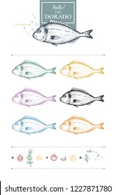 Set of dorado images. Unique hand-drawn silhouettes of dorado+lemon slices, black pepper, tomato, garlic, rosemary, salt. Yellow, grey, blue, green, red, pink. Vector. Isolated on white.