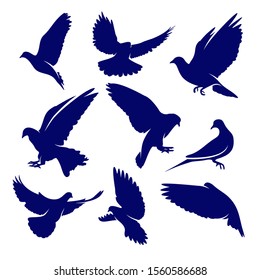 Set of Dove logo design vector concepts. Bird logo template. Icon symbol. Illustration