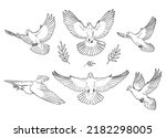 Set of dove outline. Line art style isolated. Hand drawn vector illustration.