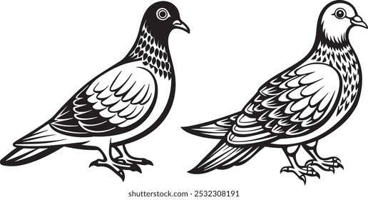 Set dove silhouette vector art white background