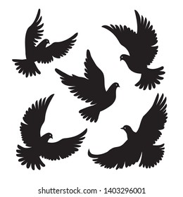 divergent birds clipart