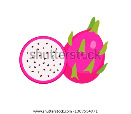 set of dragon fruit, Summer tropical fruit, cartoon flat icon, vector illustration sketch isolated on white background