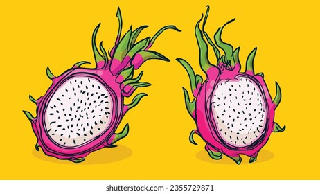 Set of Dragon fruit, Vector illustration in one line sketch style, flat hand drawn sketch, Colorful fruit with shadow and light, isolated on colored background.