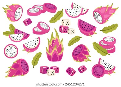 Set of dragon fruits isolated on white background. Fresh exotic Pitahaya in peel, cut into circles, small cubes and slices. Sweet tropical pitaya fruit.  Vector illustration